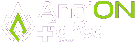 logotipo AngOn Arca Saúde